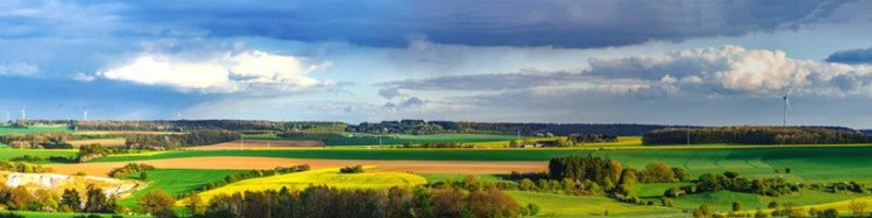 Le fioul bio, alternative à la fin du fioul en 2022 ?
